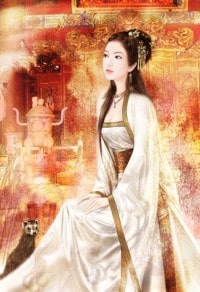 将军抢亲记